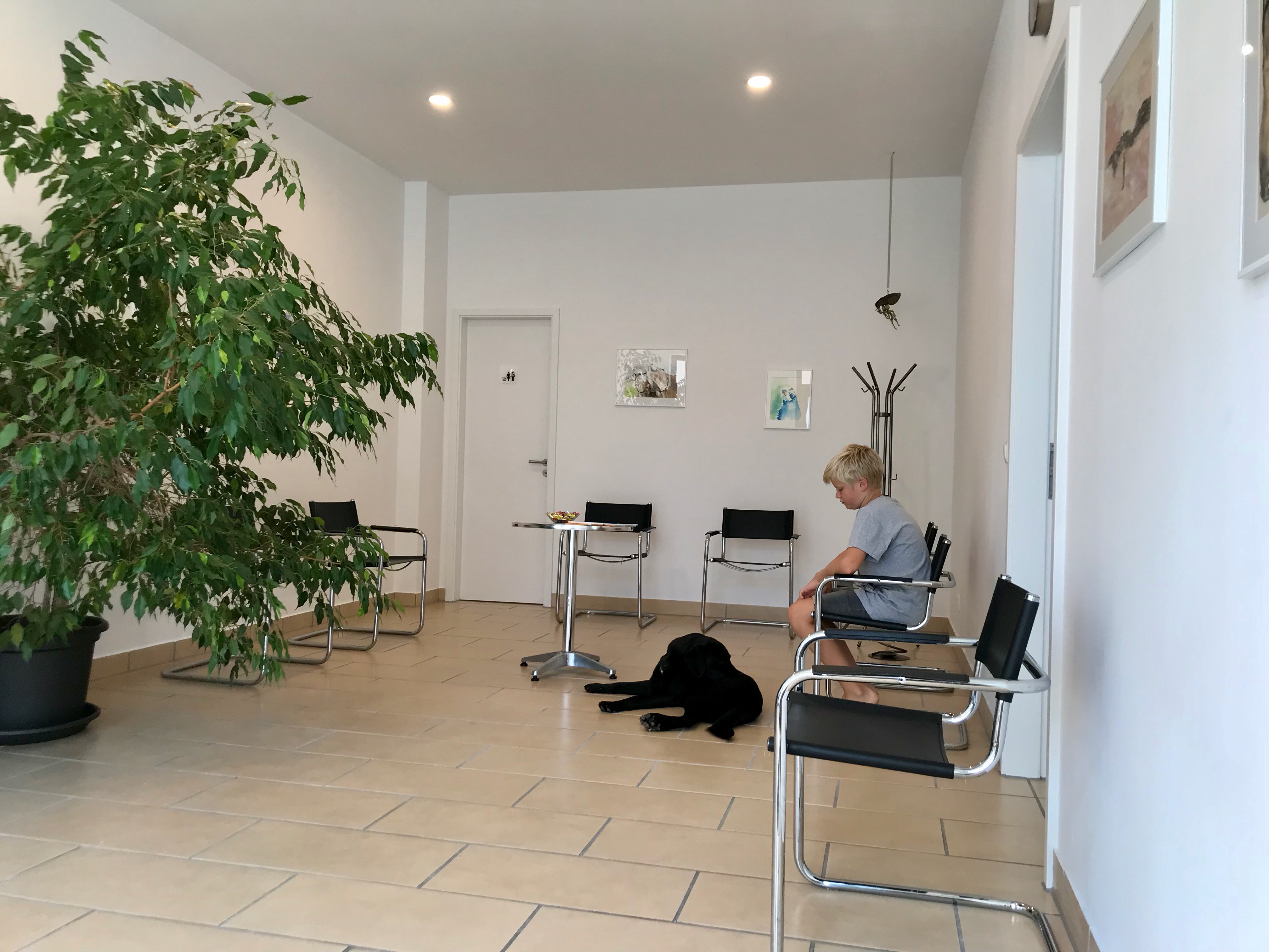 Wartezimmer der Tierarztpraxis Schongau mit Sitzbänken und Tresen