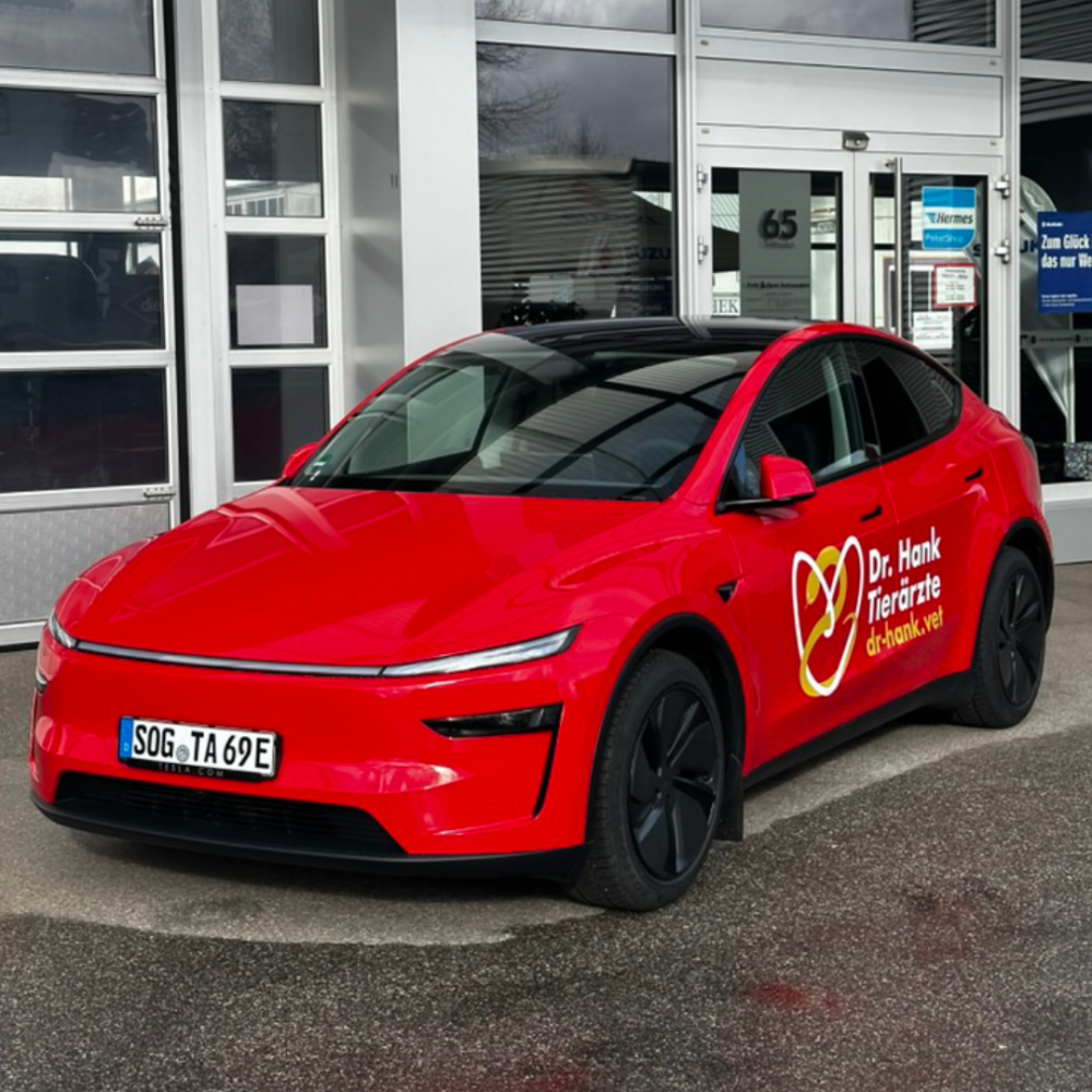 Elektrisches Praxisfahrzeug der Fahrpraxis
