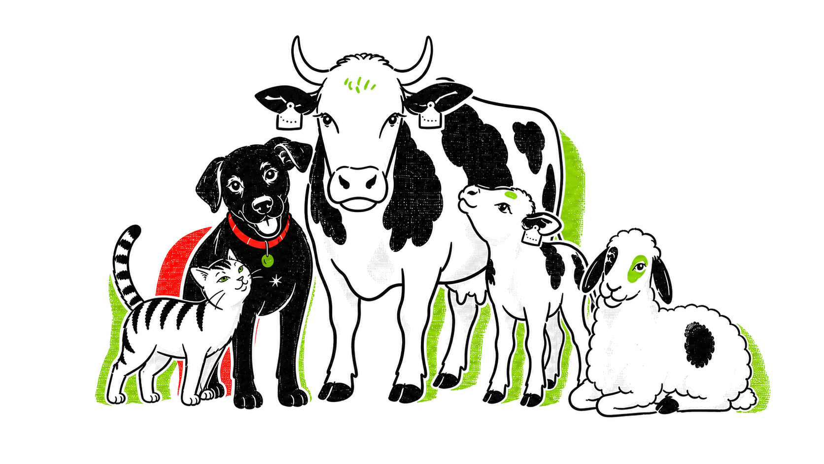 Illustration: die fünf Signature-Tiere der Praxis als Gruppe — Labrador Chili, Kater Toni, Fleckviehkuh Resi, Kalb Leni und Bergschaf Vroni
